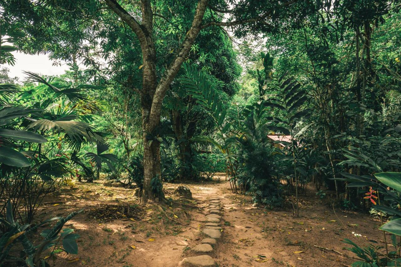 Huingos Eco Lodge Tarapoto Exterior photo