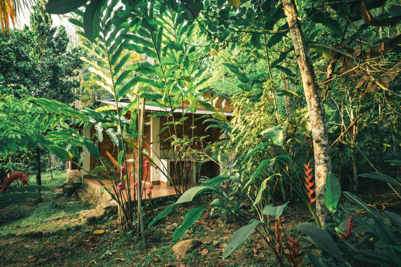 Huingos Eco Lodge Tarapoto Exterior photo